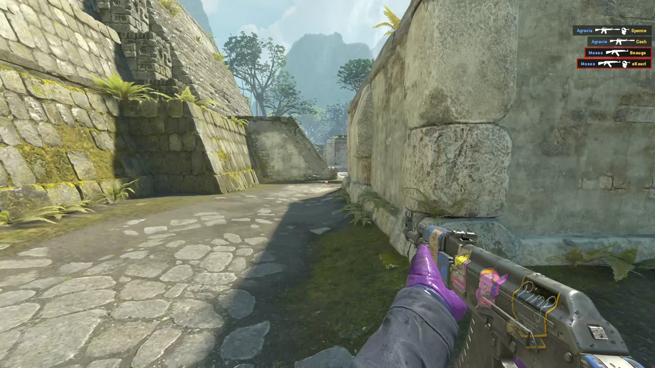 highlight